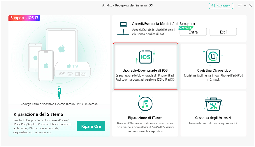 Scegli Upgrade / Downgrade di iOS