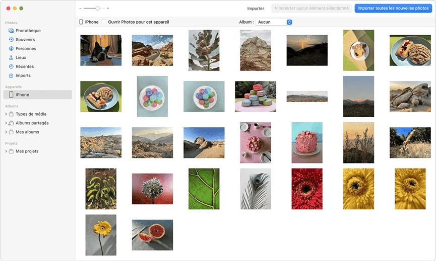 Cliquez sur « Importer la sélection » ou « Importer toutes les nouvelles photos »