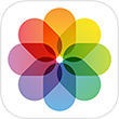 Colorful flower on white background