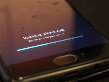 Flash ROMs Using the Bootloader