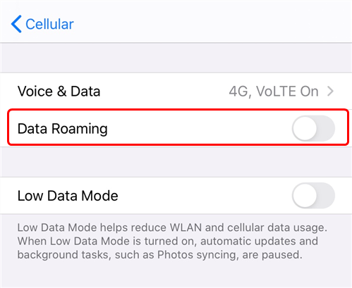 Enable the Data Roaming Option