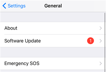 Navigate to the Software Update option on iPhone