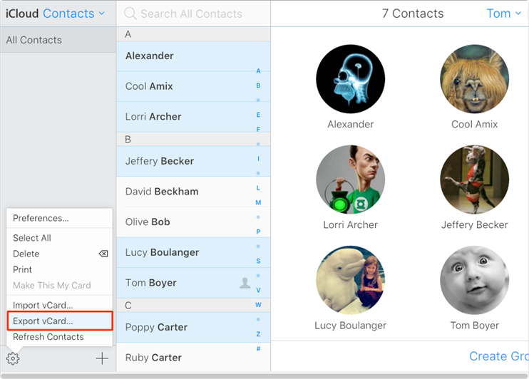 Export iPhone Contacts to Computer with iCloud.com