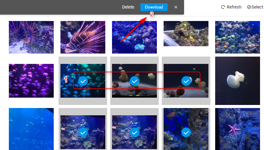 Transfer Photos from Android to Flash Drive Wirelessly - Step 3