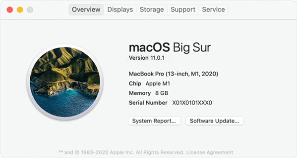 M1 Apple Silicon Mac is Running macOS Big Sur (macOS 11)